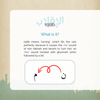 Now That We Can Read, Let's Learn Makhraj & Tajwid!
